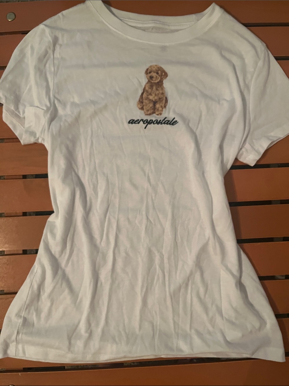 Aeropostale Classic Tee With Coquette Light Brown Puppy Motif